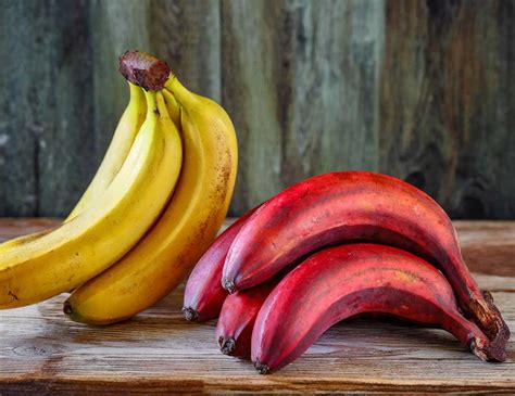 bananatic|red banana vs yellow banana.